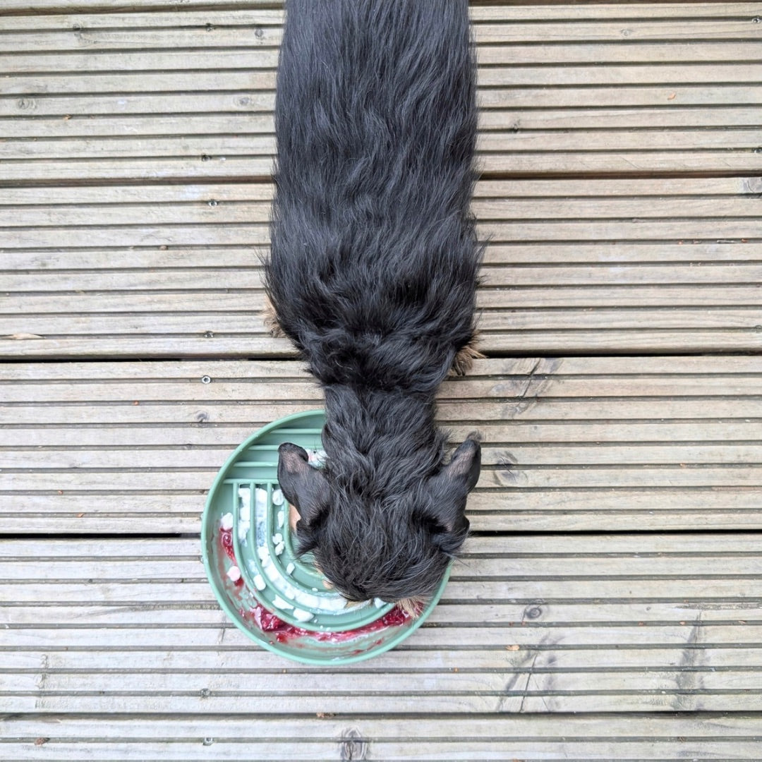 Beschäftigungsspielzeug Slow Feeder Luna Green