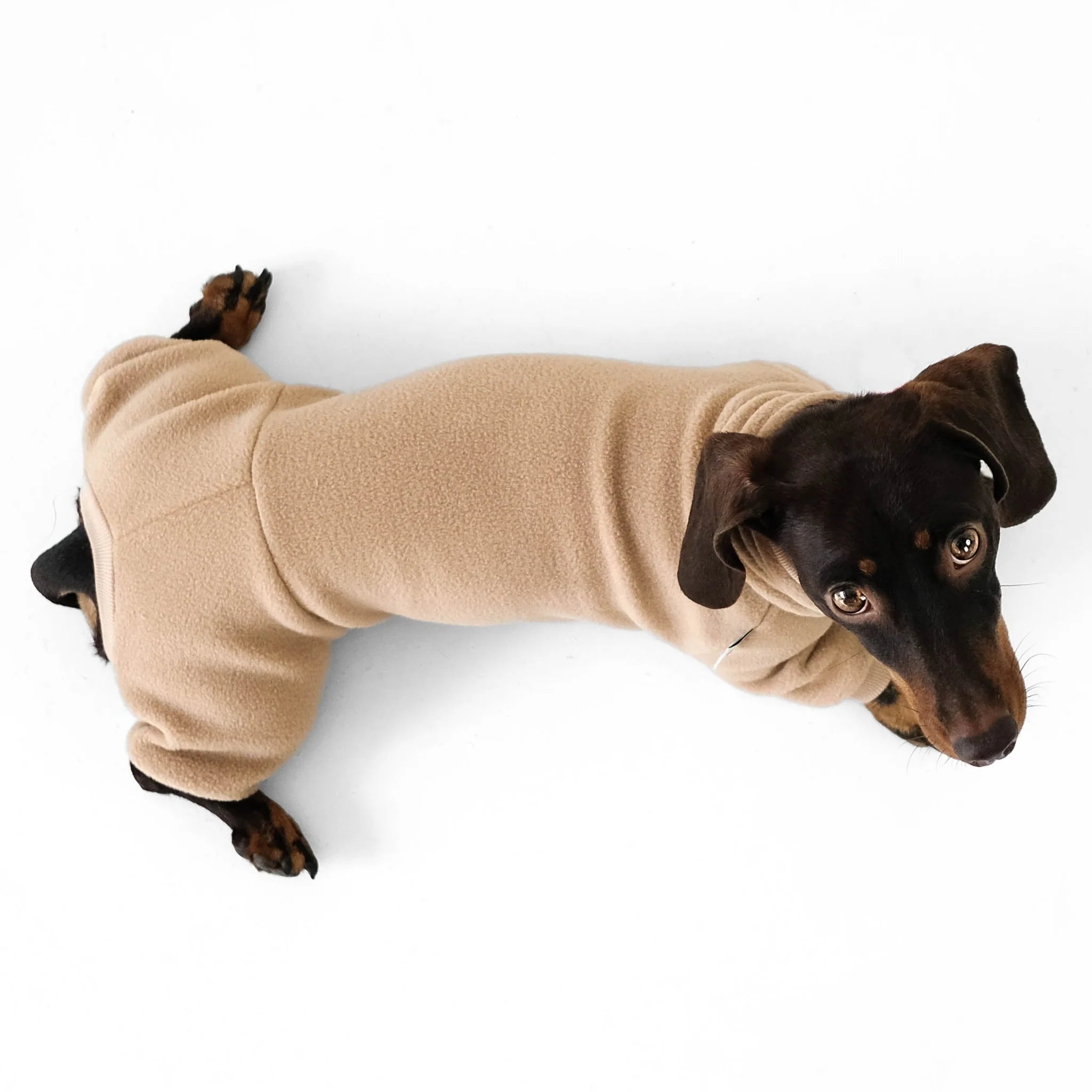 Karma-Hund-Hundepullover-Polar-Fleece-Overall-Dackel-Camel6