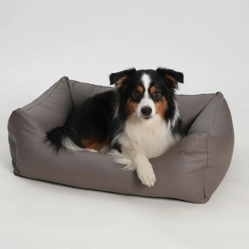 Dogs-in-the-City-Hundebett-Saddle-Kunstleder-Taupe-Hund2