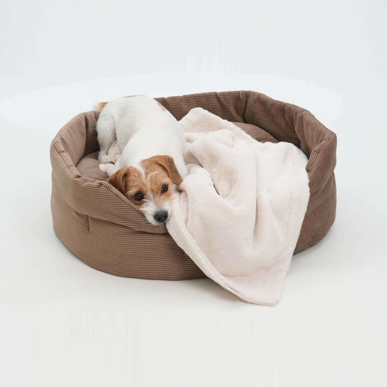 Dogs-in-the-City-Hundekörbchen-Chelsea-Cord-Toffee-Hund