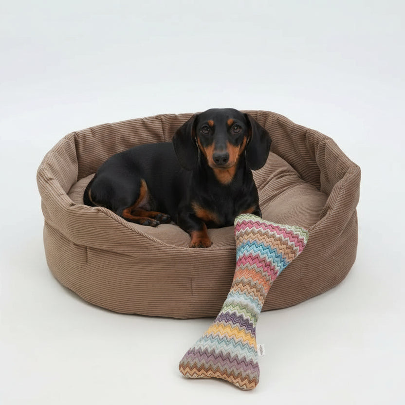 Dogs-in-the-City-Hundekörbchen-Chelsea-Cord-Toffee-Hund2