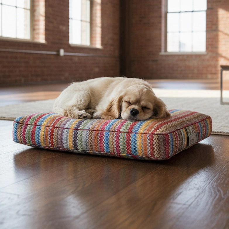 Dogs-in-the-City-Hundekissen-ZicZac-Hund