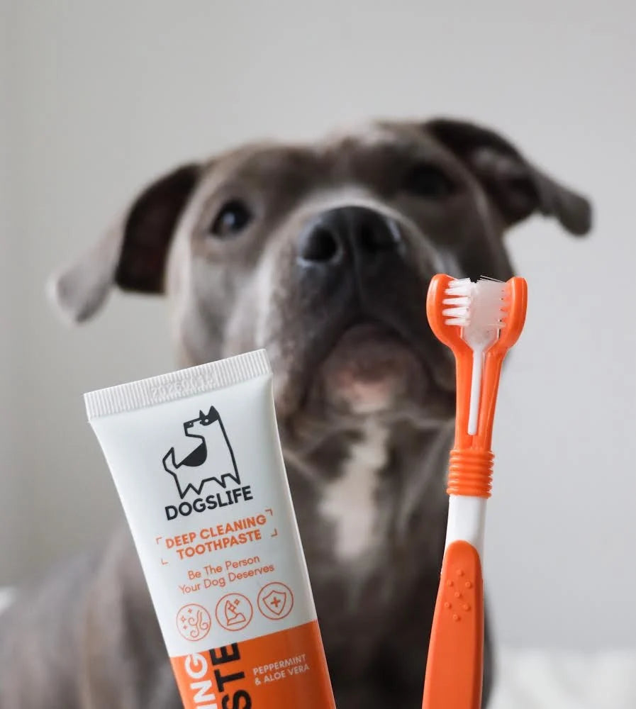 DogsLife-Dental-Kit-Mood