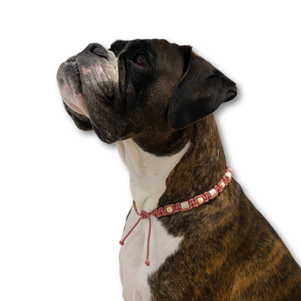 EM-Keramik-Halsband-Muted-Coral-4