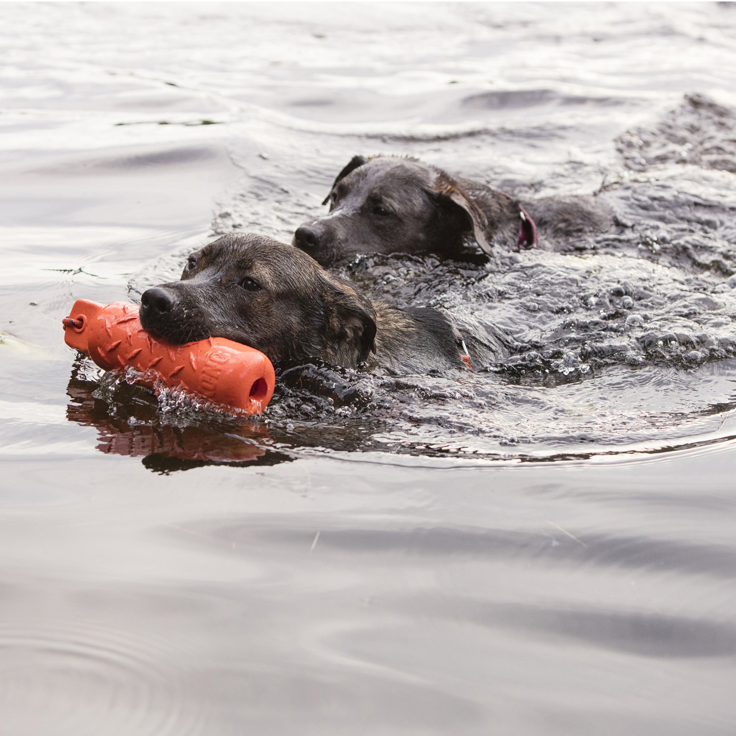 Kong-Training-Dummy-Mood