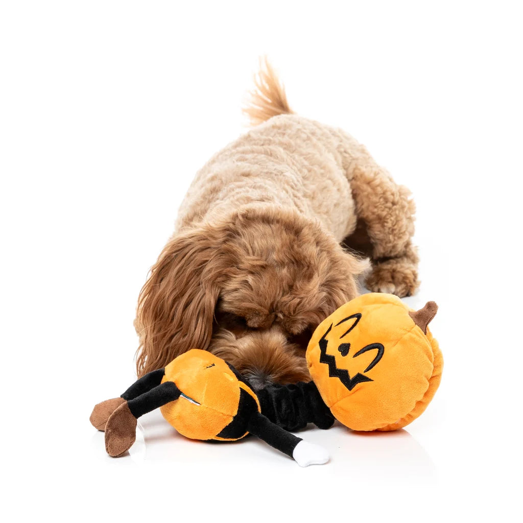 Hundespielzeug Halloween Michael Gourdan
