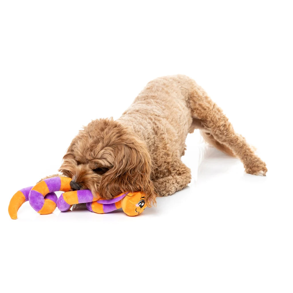 Hundespielzeug Halloween SSS-Teven the Snake