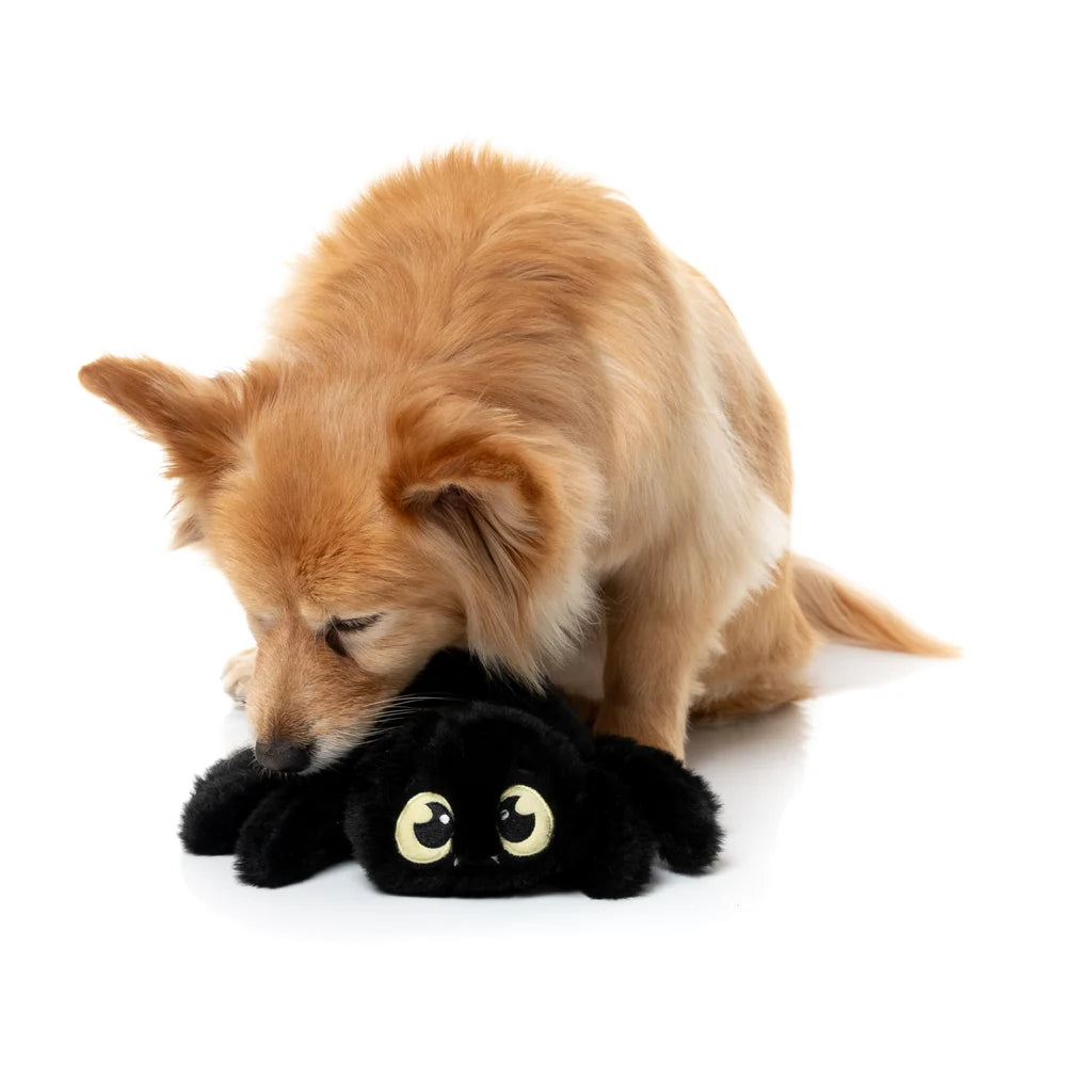 Hundespielzeug Halloween Webastian the Red Back