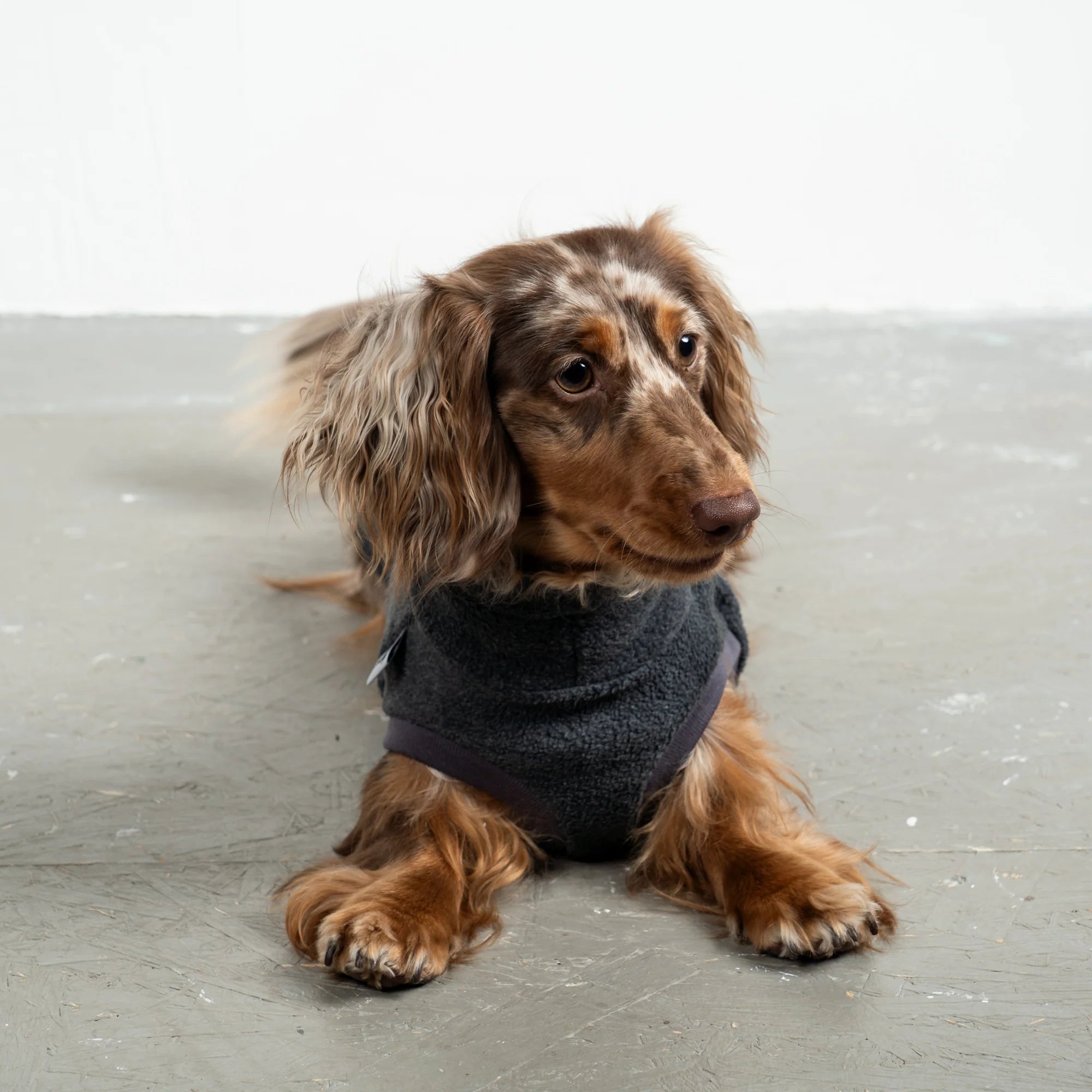 Fleece Shirt für Dackel Anthrazit