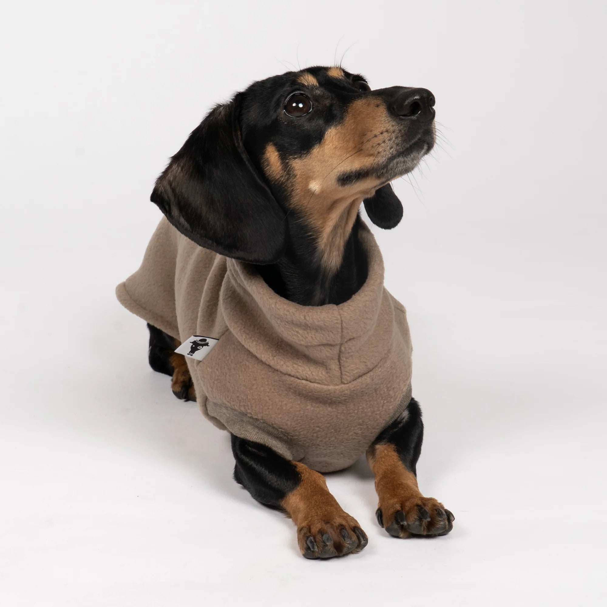 Fleece Shirt für Dackel Walnut