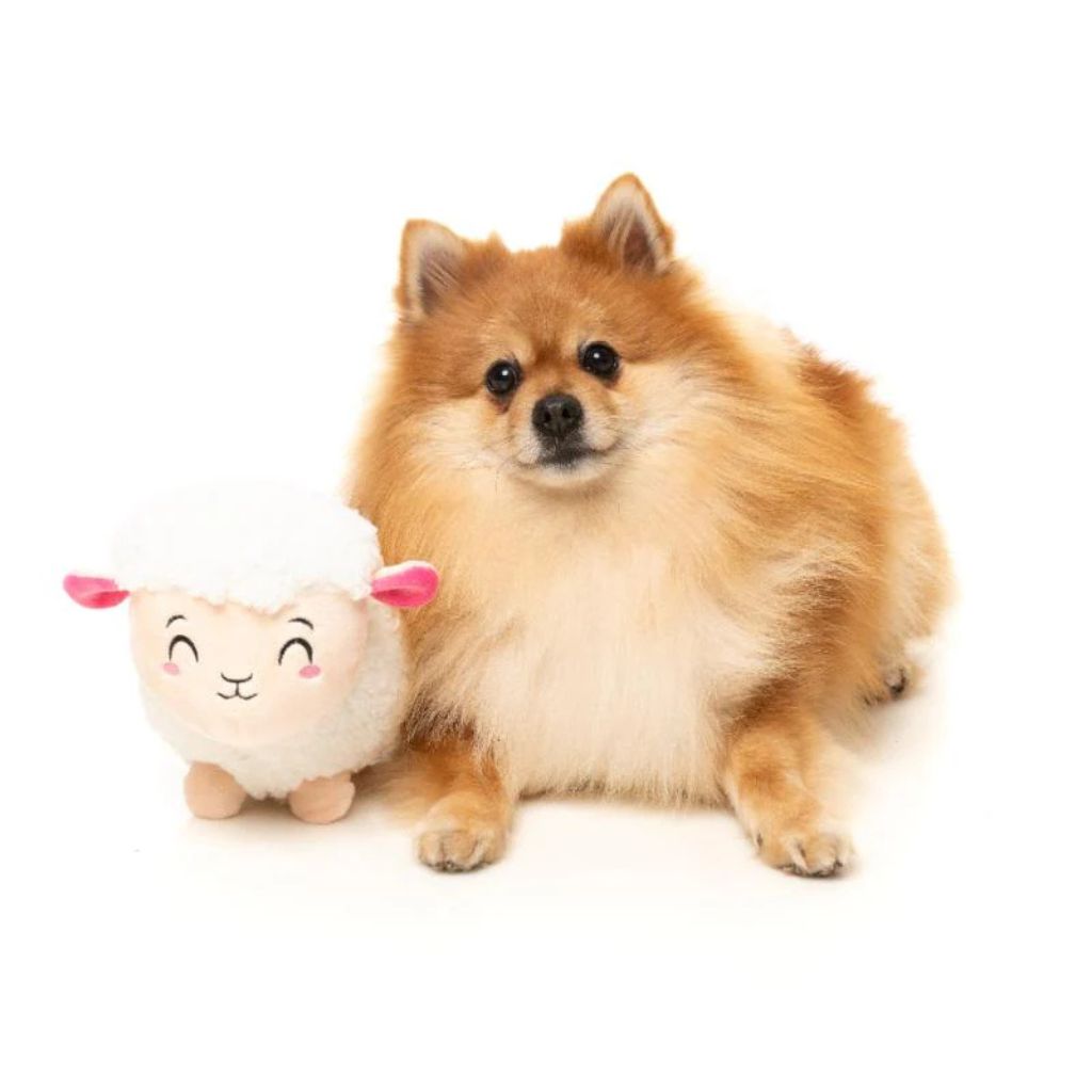 FuzzYard-Hundespielzeug-Bahh-Bara-Hund2