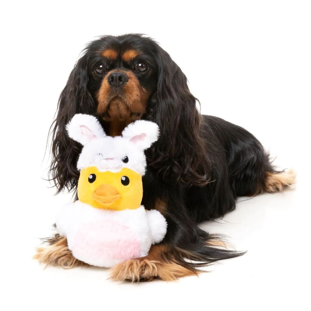 FuzzYard-Hundespielzeug-Easter-Duck-Hund