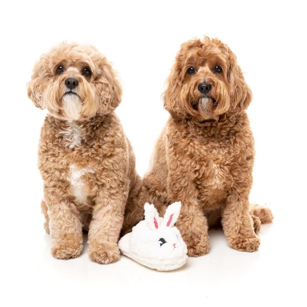 FuzzYard-Hundespielzeug-Fluffy-Bunny-Slipper-Hund