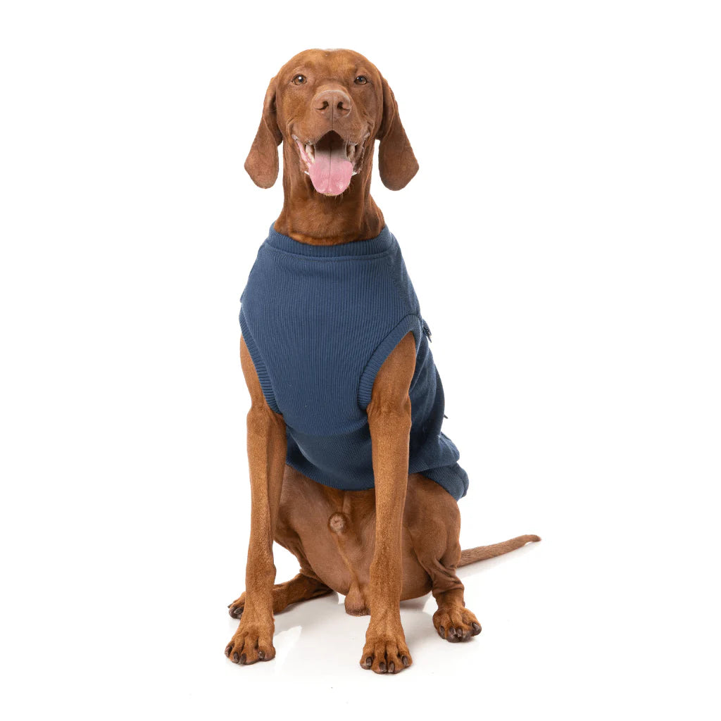 Fuzzyard-Hundejacke-Kojima-Indigo-Hund2