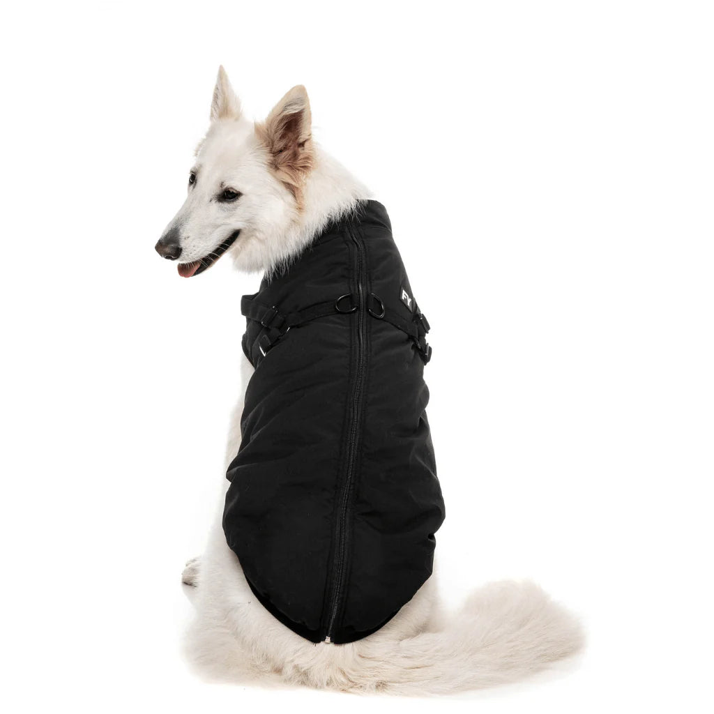 Fuzzyard-Hundemantel-Jacket-Flash-Black-Hund