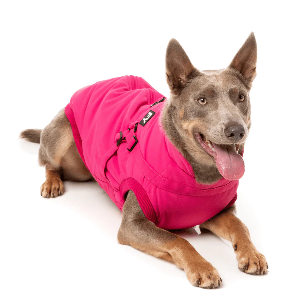 Fuzzyard-Hundemantel-Jacket-Flash-Magenta-Hund