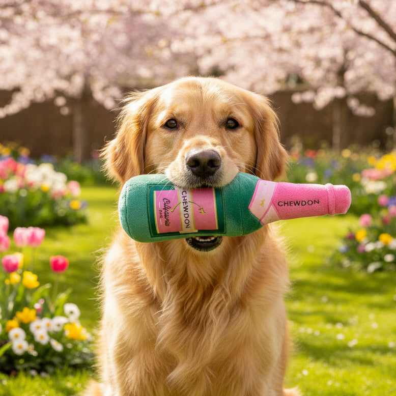 Fuzzyard-Hundepielzeug-Valentin-Chewdon-Rose-Hund