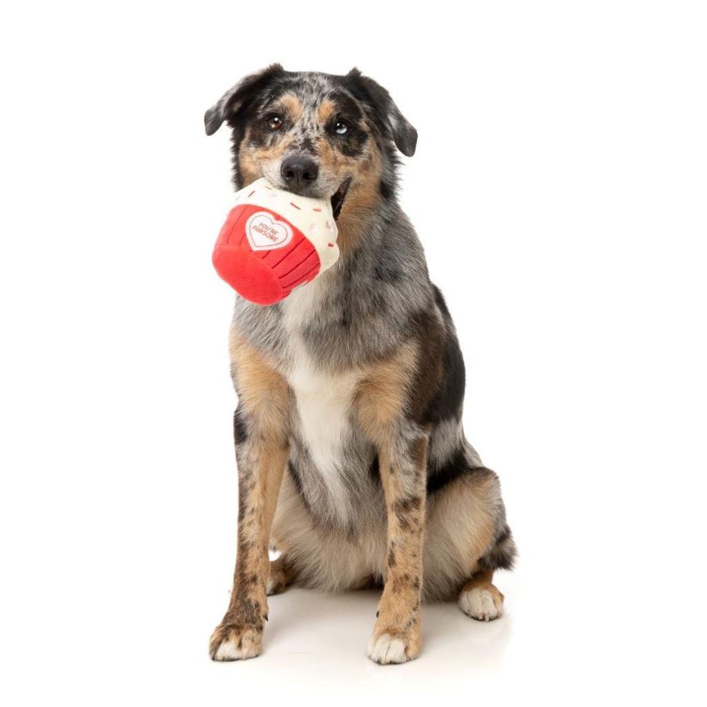 Fuzzyard-Hundepielzeug-Valentin-You`re-Pawsome-Cupcake-Hund