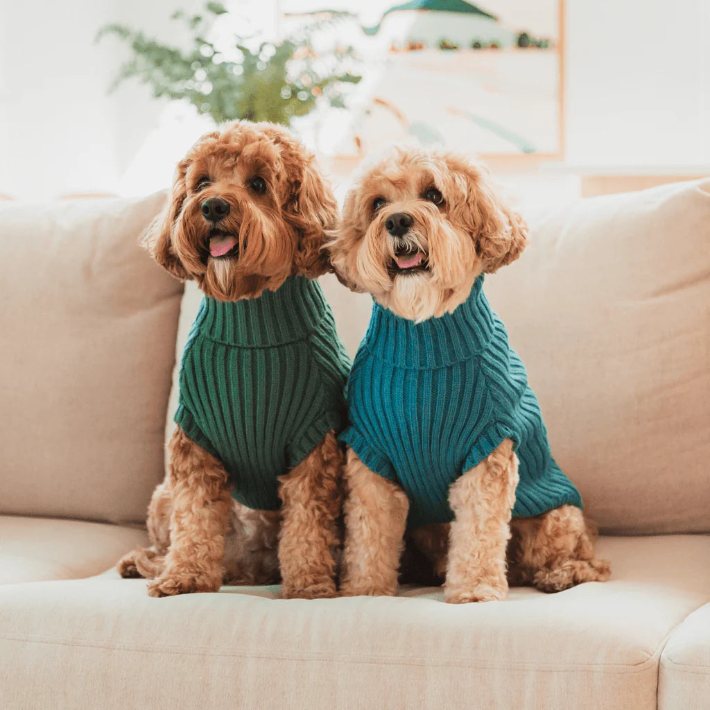 Fuzzyard-Hundepullover-Knitted-Sweater-French-Blue-Mood2