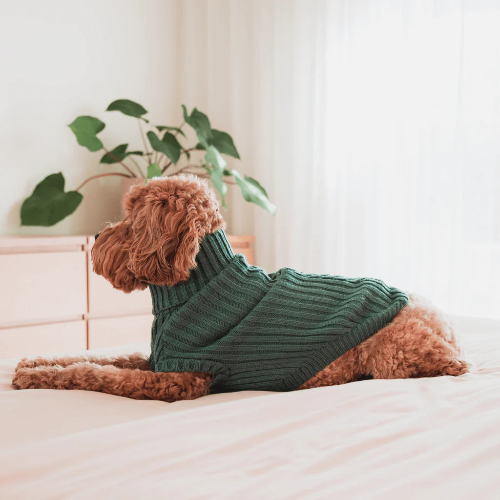 Fuzzyard-Hundepullover-Knitted-Sweater-Myrtle-Green-Hund