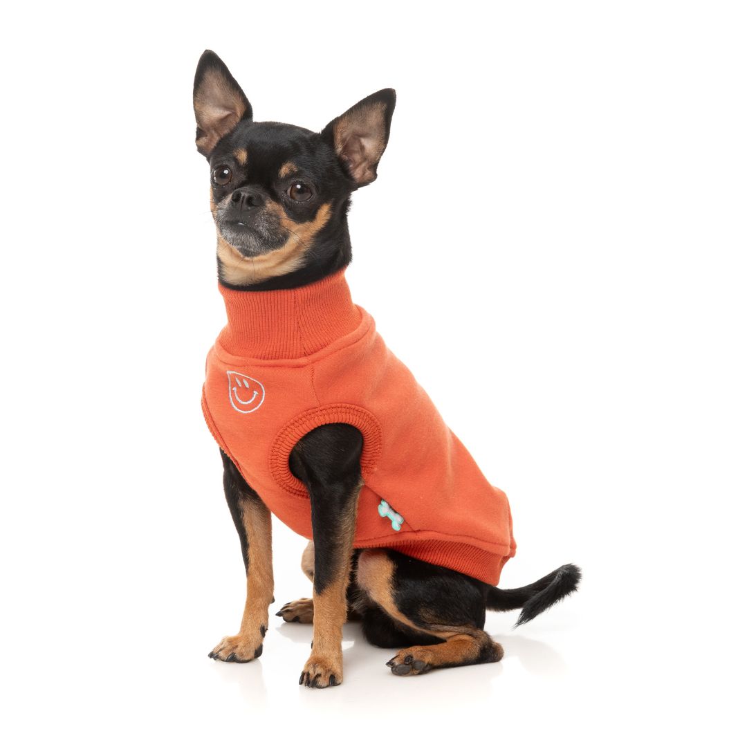 Fuzzyard-Hundepullover-Sweater-Smiley-Rust-Hund