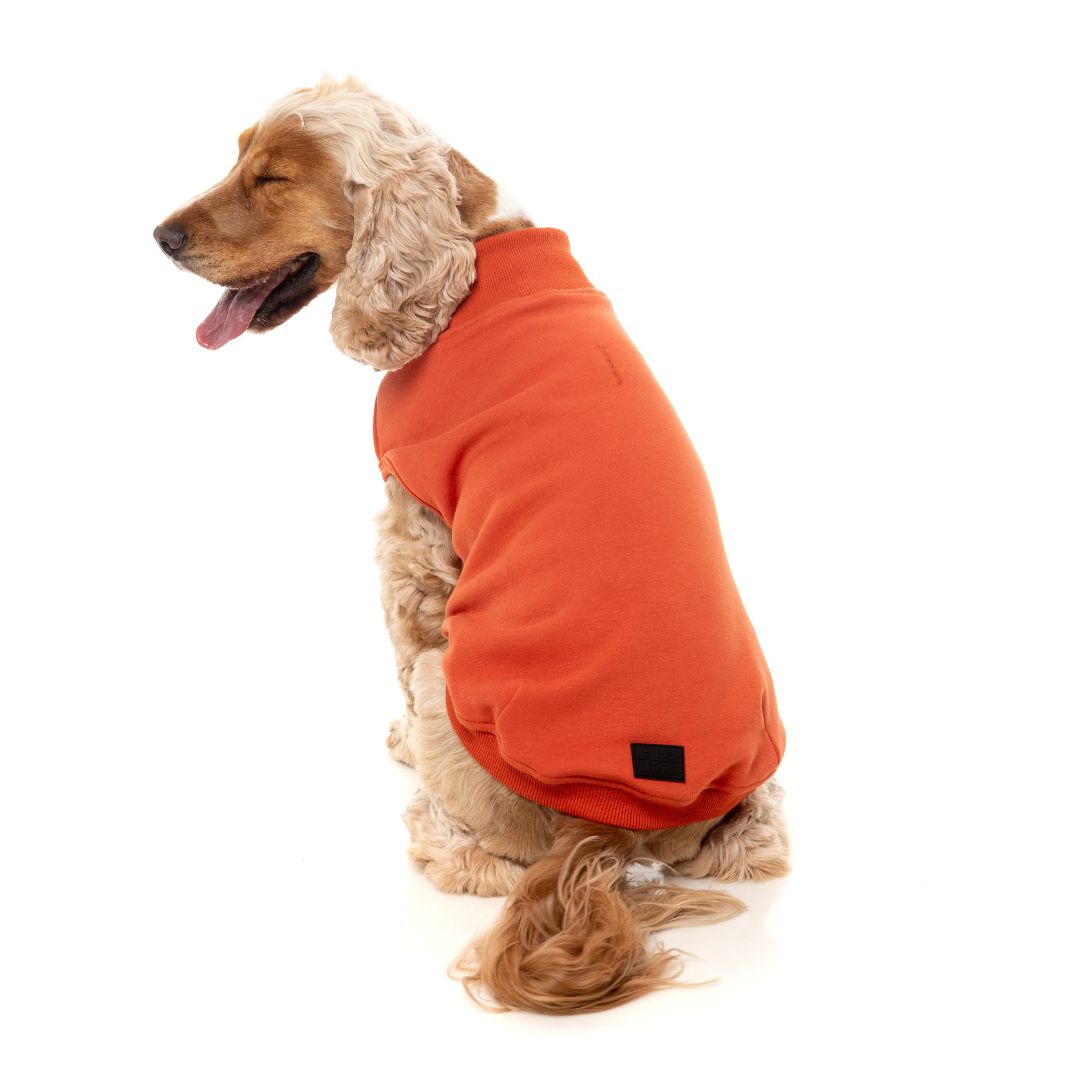 Fuzzyard-Hundepullover-Sweater-Smiley-Rust-Hund5