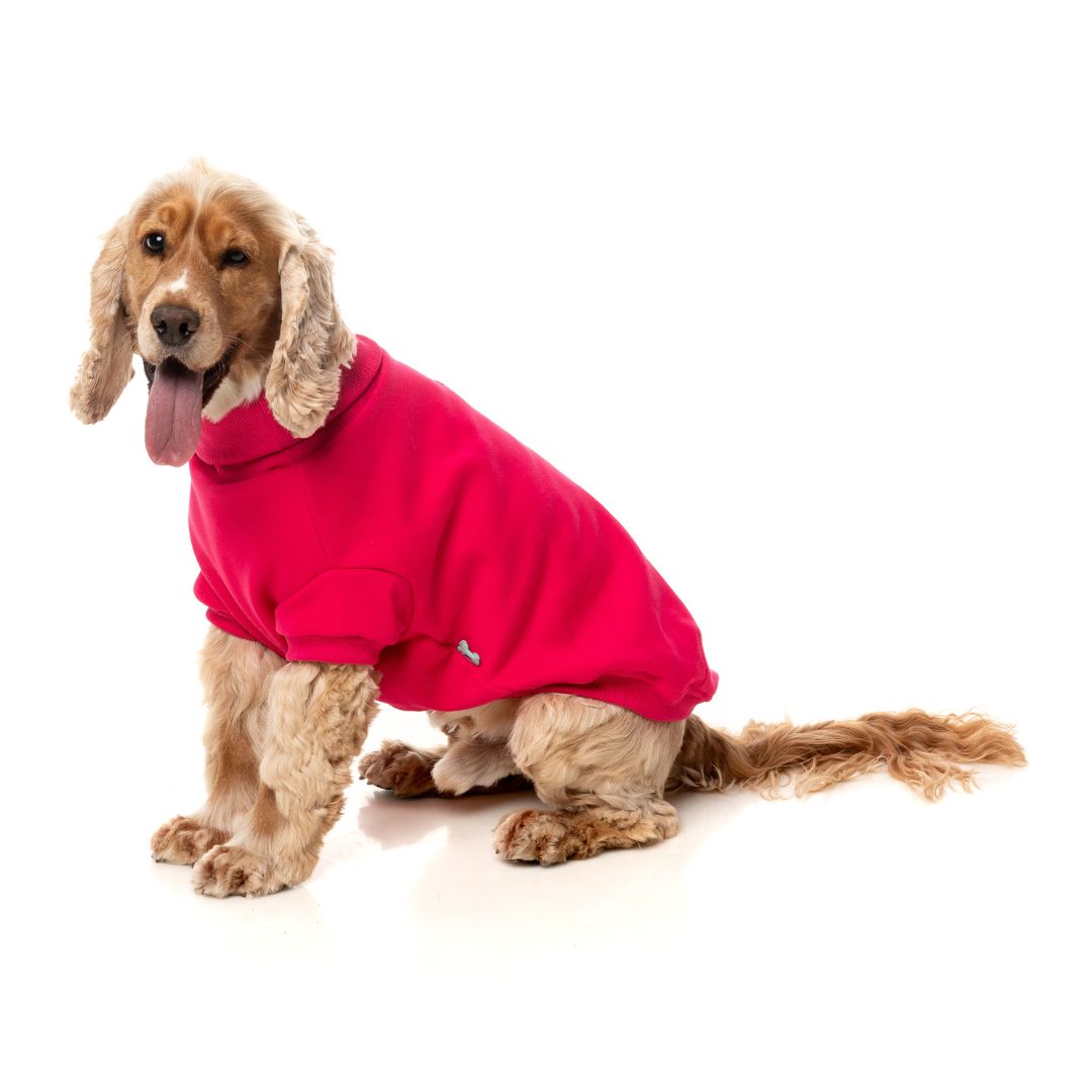 Fuzzyard-Hundepullover-Sweater-Stevie-Magenta-Hund6