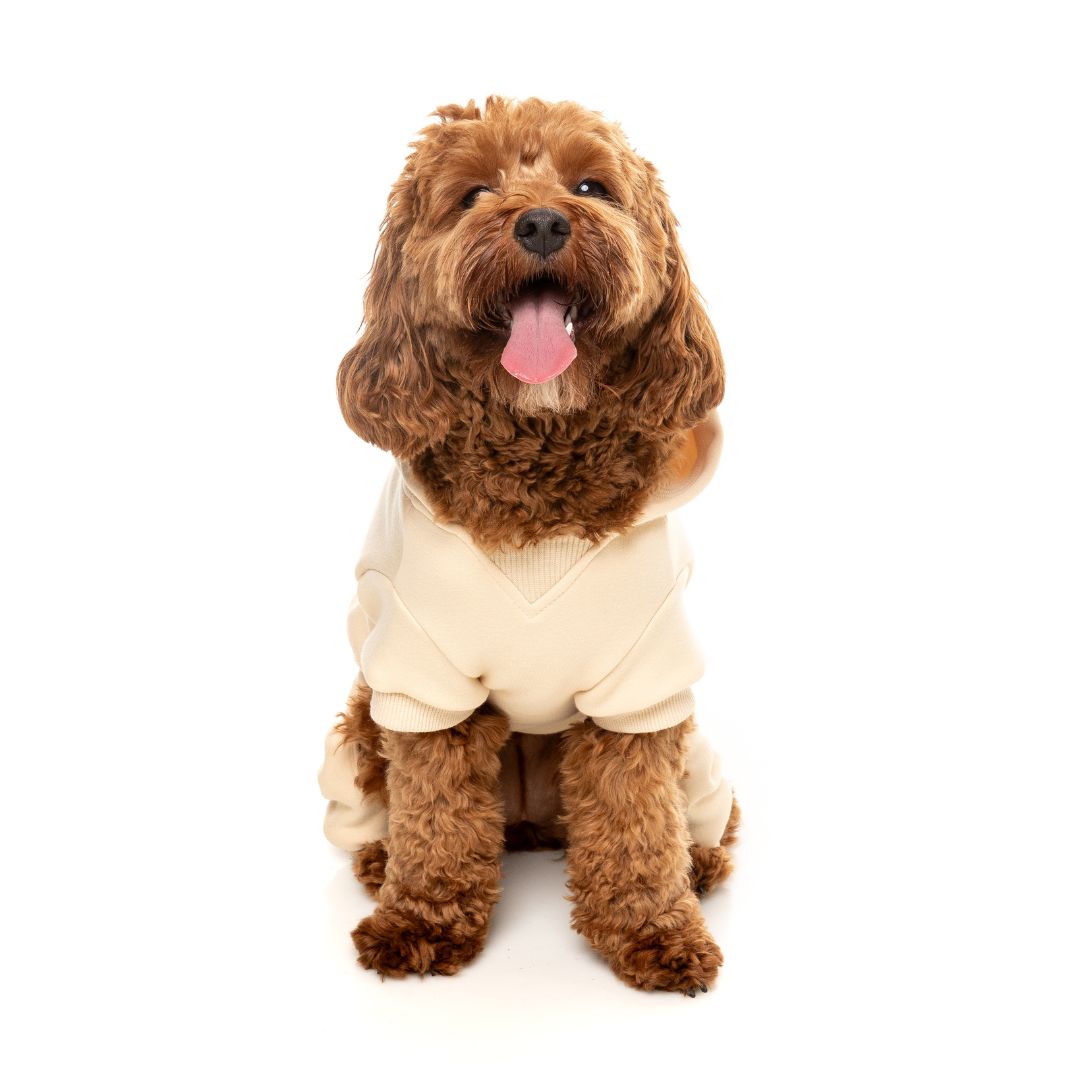 Fuzzyard-Hundepullover-Urban-Tracksuit-Buttermilk-Hund6