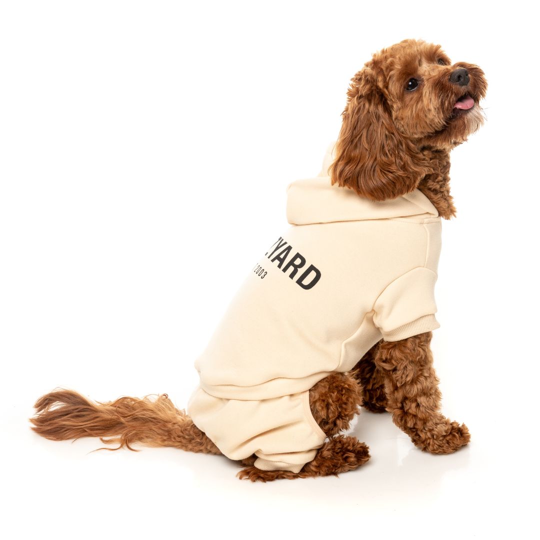 Fuzzyard-Hundepullover-Urban-Tracksuit-Buttermilk-Hund7