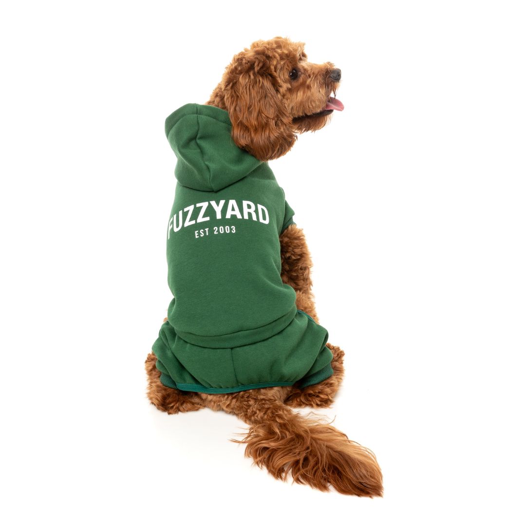 Fuzzyard-Hundepullover-Urban-Tracksuit-Green-Hund3