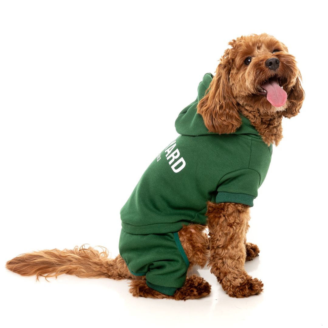 Fuzzyard-Hundepullover-Urban-Tracksuit-Green-Hund4