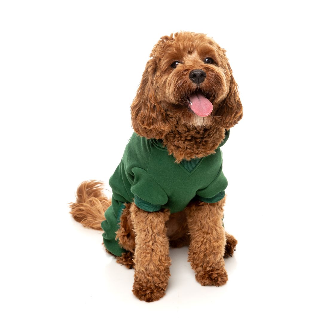 Fuzzyard-Hundepullover-Urban-Tracksuit-Green-Hund5