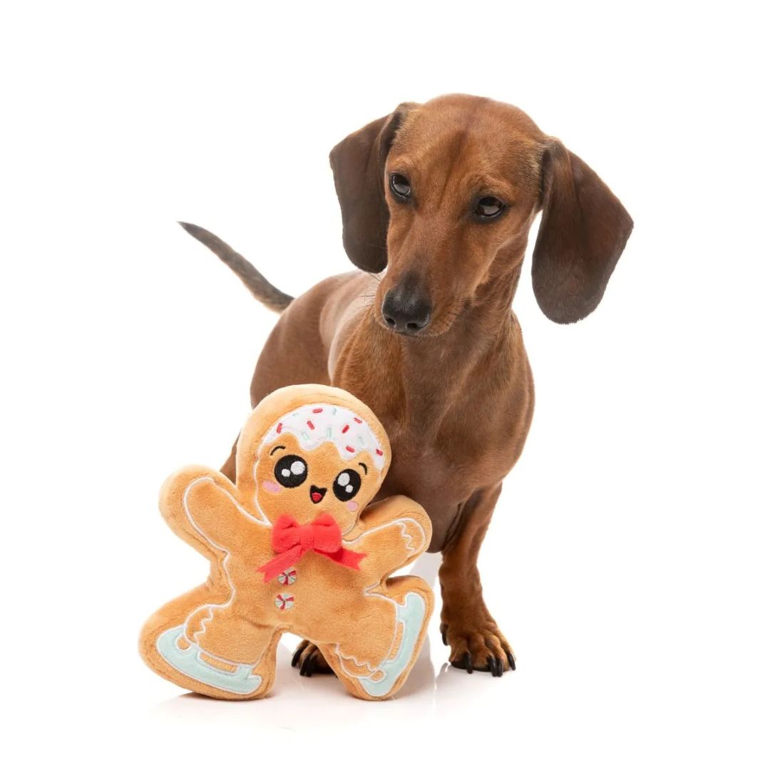 Fuzzyard-Hundespielzeug-Biscuit-Blader-Hund2