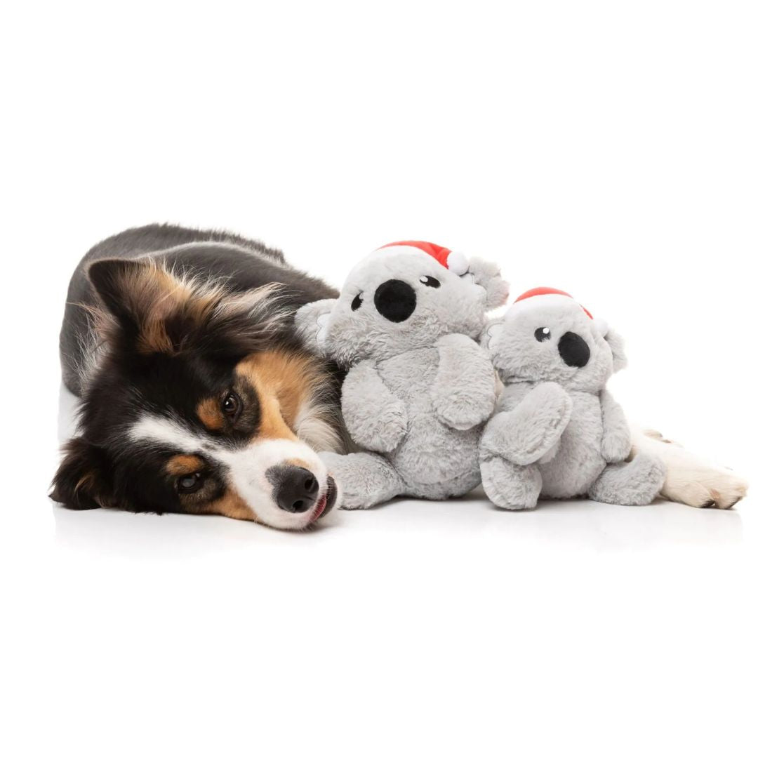 Fuzzyard-Hundespielzeug-Coco-Koala-Hund3