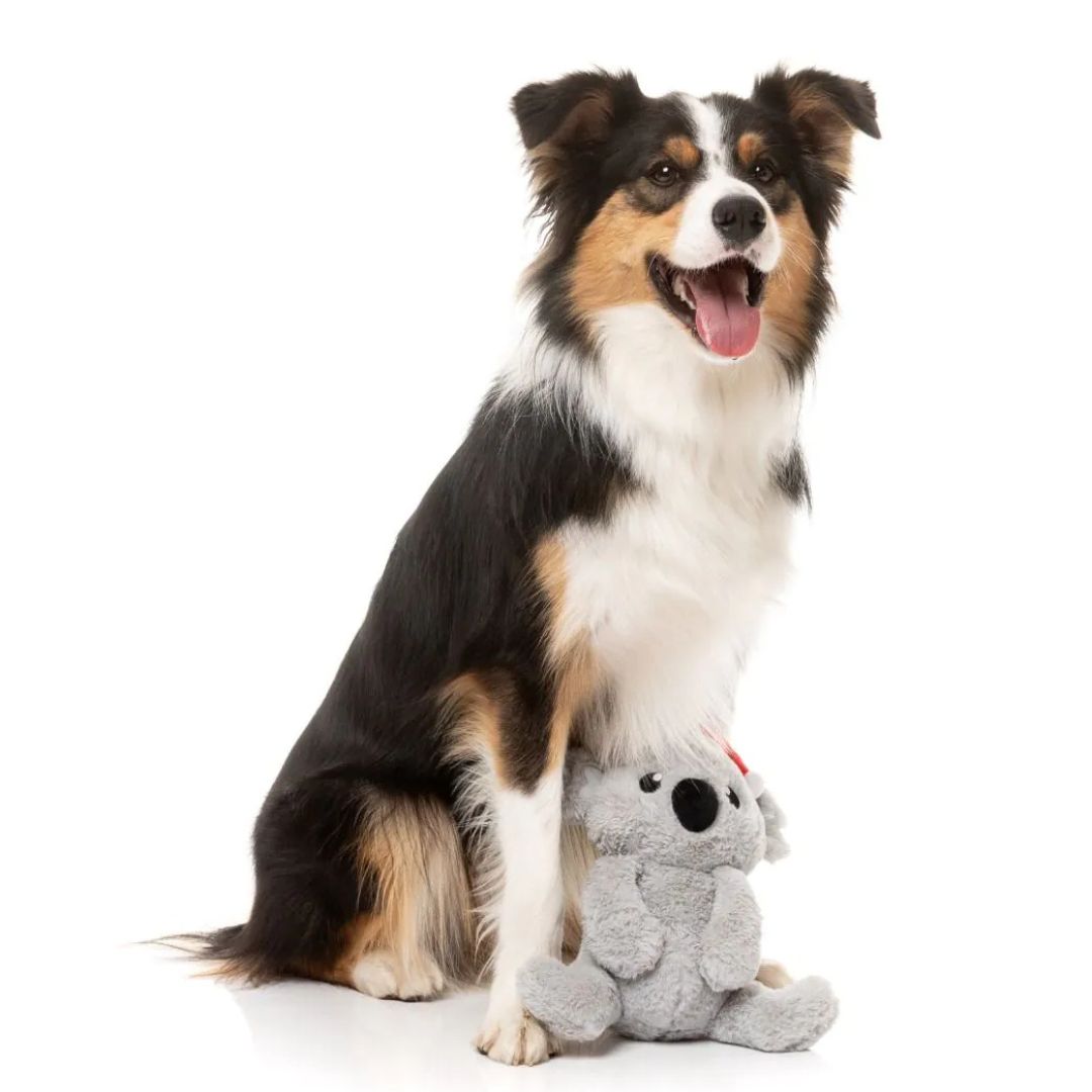 Fuzzyard-Hundespielzeug-Coco-Koala-Hund4