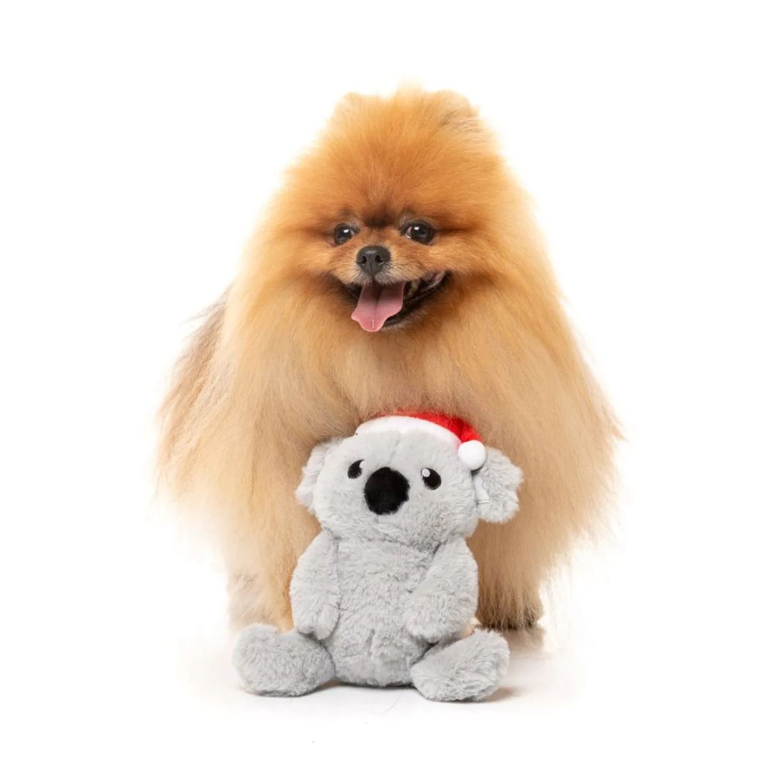 Fuzzyard-Hundespielzeug-Coco-Koala-Hund5