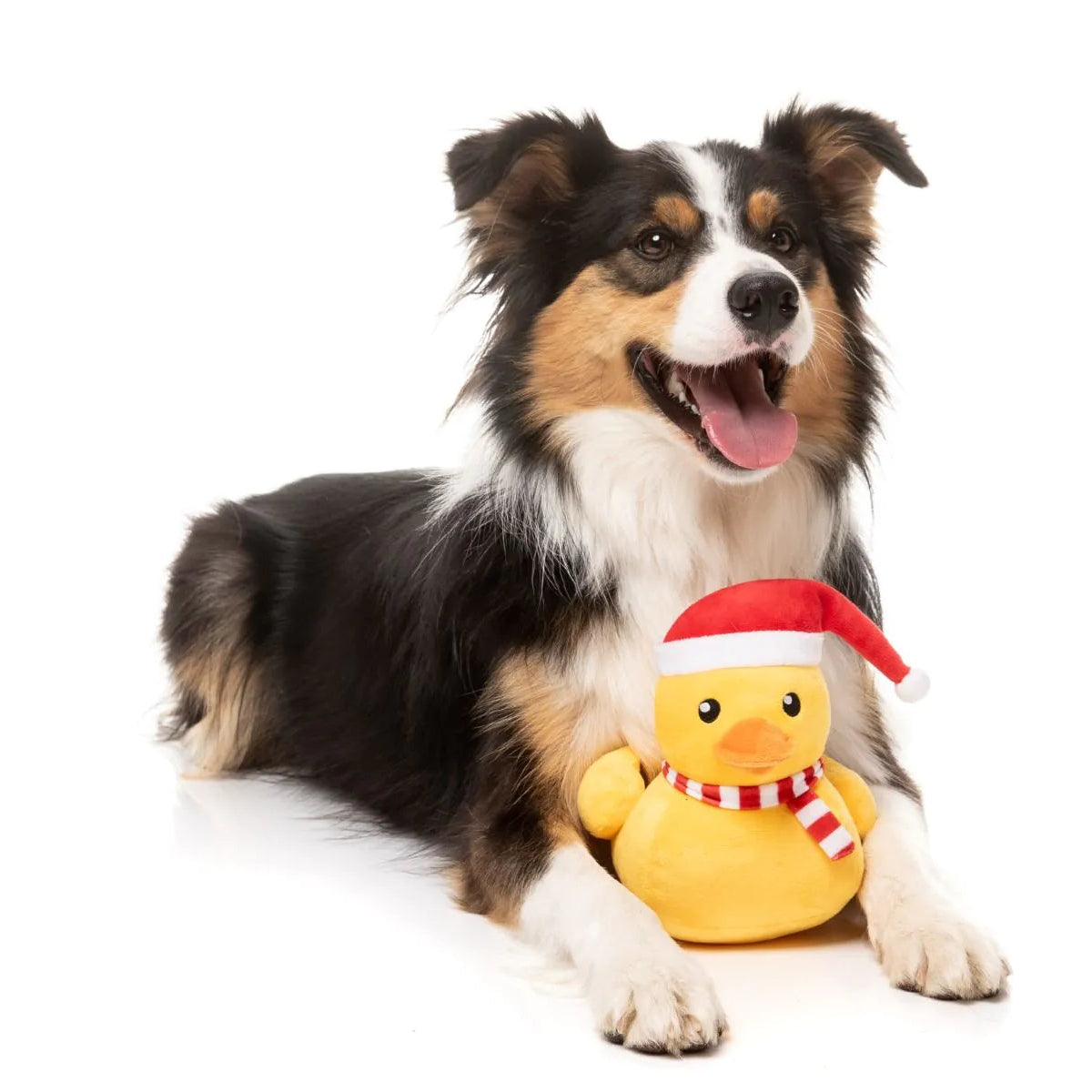 Fuzzyard-Hundespielzeug-FestiveWaddles-Hund