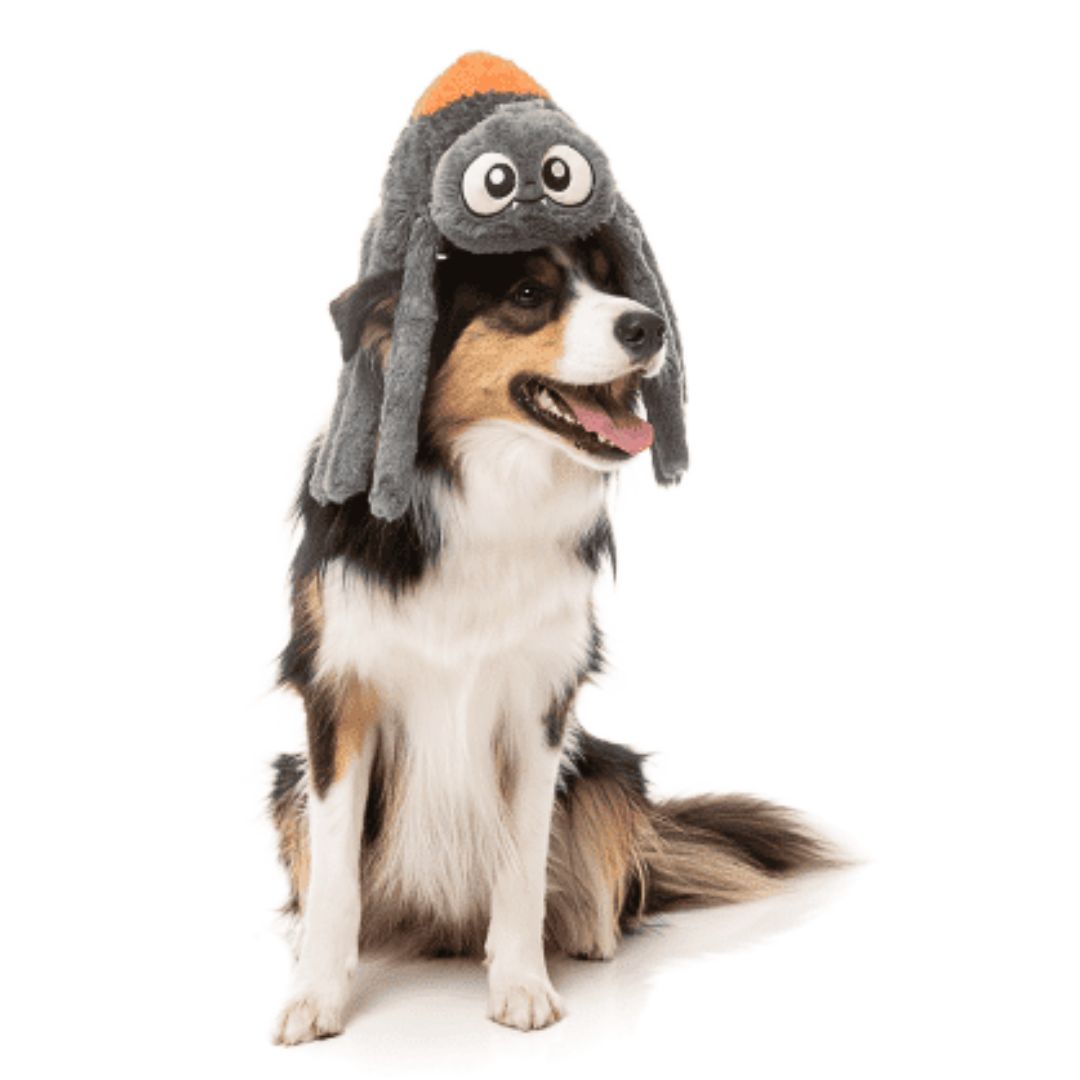 Fuzzyard-Hundespielzeug-Halloween-Arachnate-The-Spider-Hund