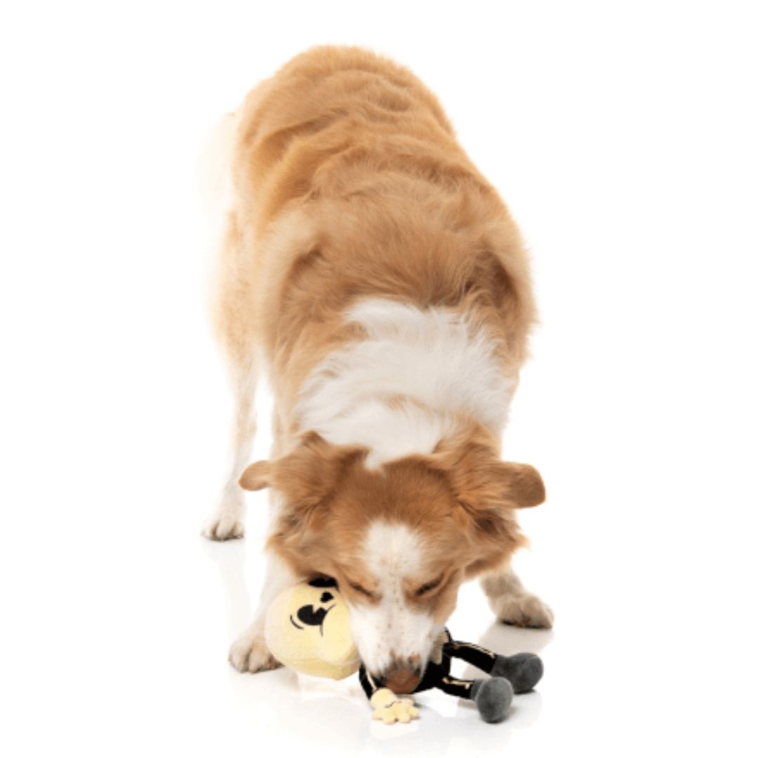 Fuzzyard-Hundespielzeug-Halloween-ArhturItis-Hund