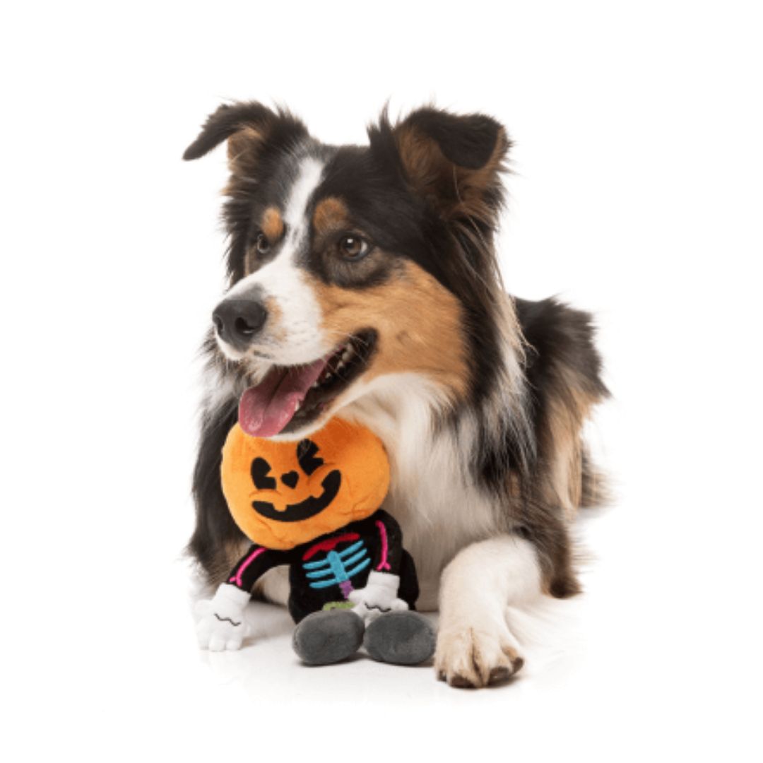 Fuzzyard-Hundespielzeug-Halloween-BooTernut-Hund