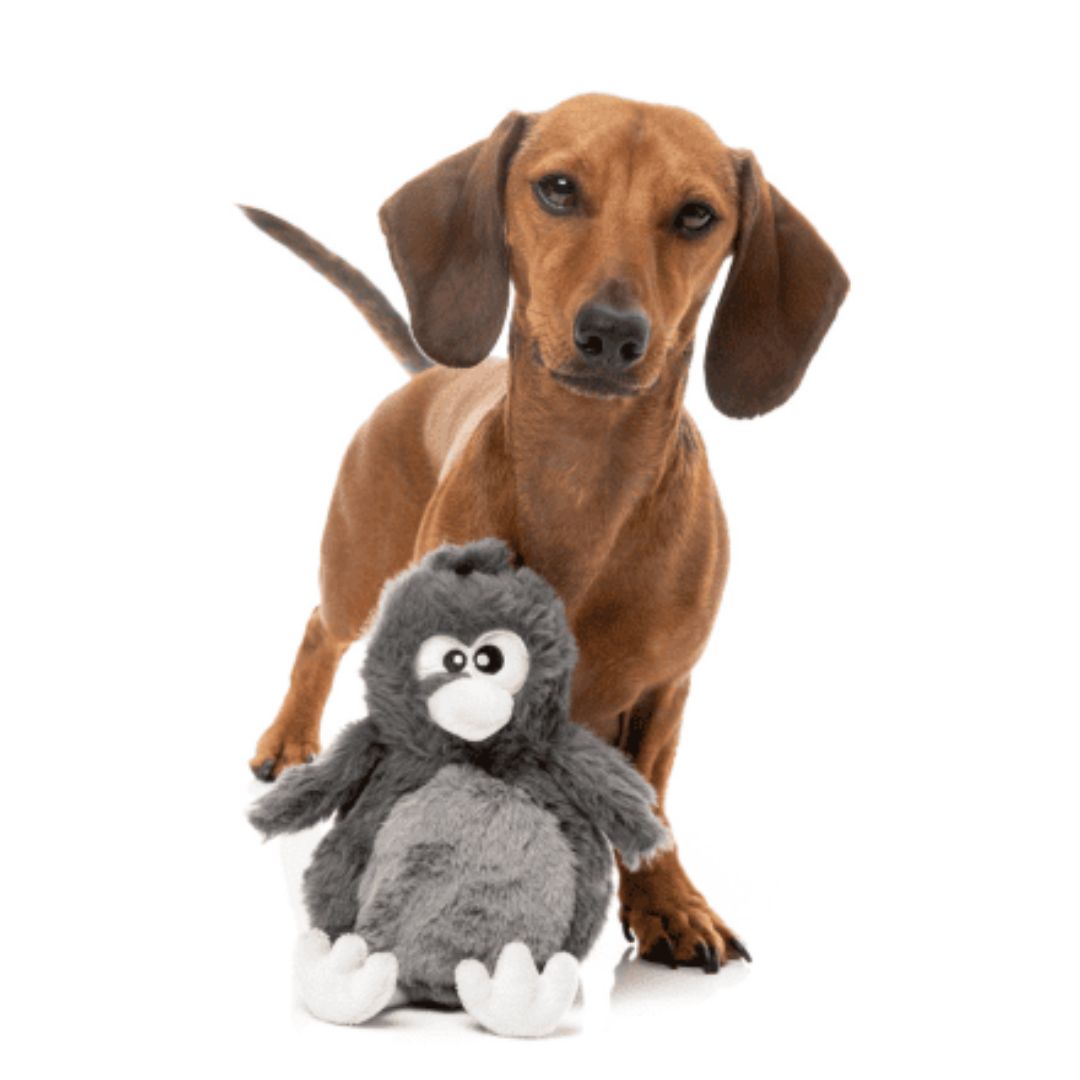 Fuzzyard-Hundespielzeug-Halloween-Danny-Devicrow-Hund