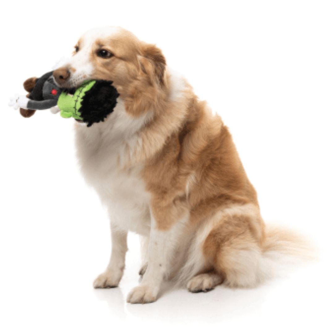 Fuzzyard-Hundespielzeug-Halloween-Igor-Hund
