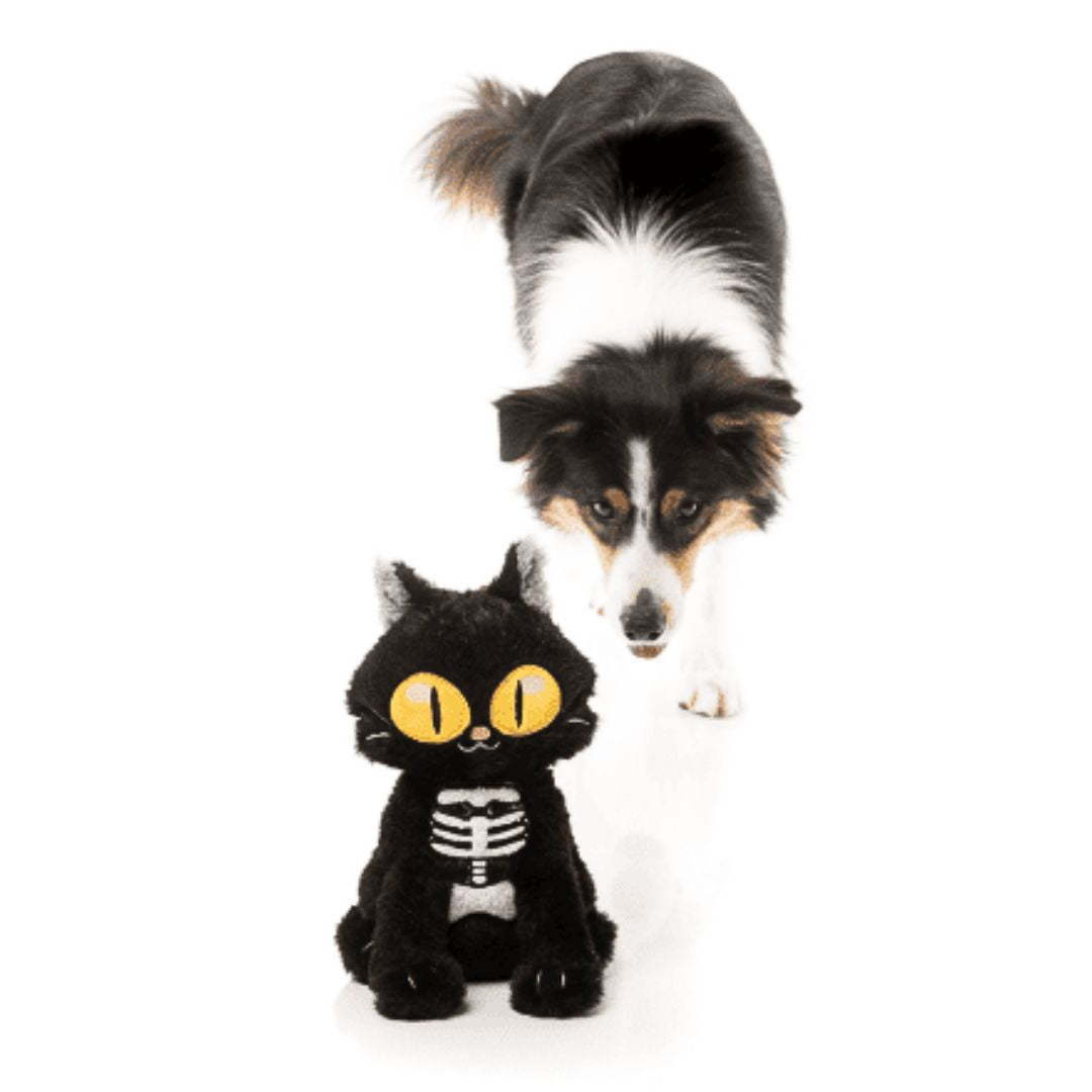 Fuzzyard-Hundespielzeug-Halloween-Skelekitty-Hund