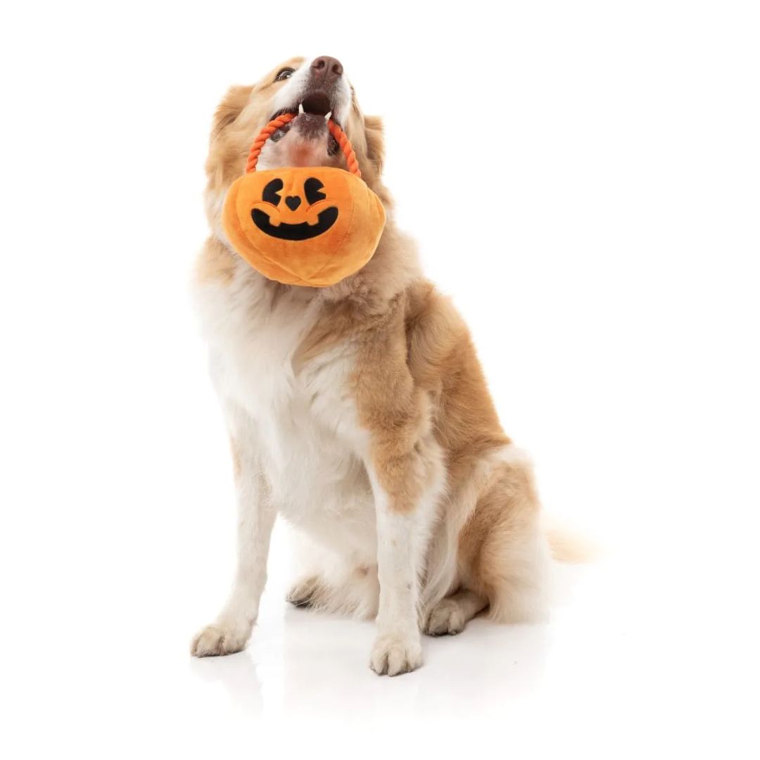 Fuzzyard-Hundespielzeug-Halloween-Trick-or-Treats-Pumpkin-Basket-Hund