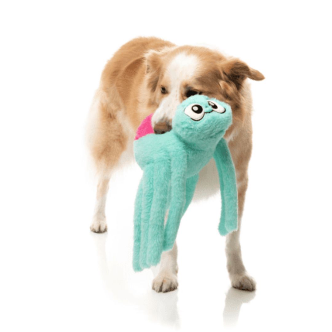 Fuzzyard-Hundespielzeug-Halloween-Webigail-The-Spider-Hund