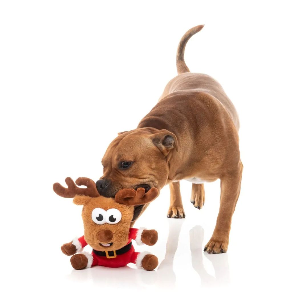 Fuzzyard-Hundespielzeug-Reggie-Claus-Reindeer-Hund5