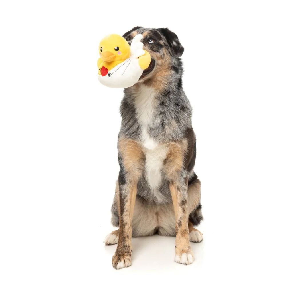 Fuzzyard-Hundespielzeug-Valentin-Cupid-Duck-Hund3