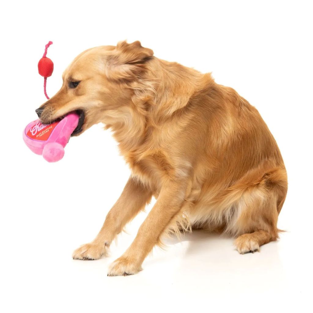 Fuzzyard-Hundespielzeug-Valentin-Tail-Chaser-Perfume-Hund4