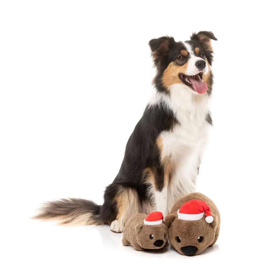 Fuzzyard-Hundespielzeug-Wallace-Wombat-Hund5