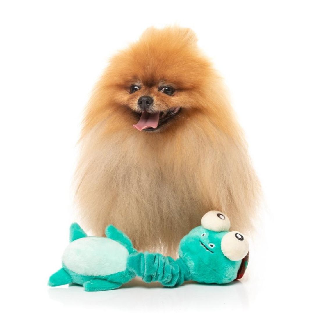 Fuzzyard-Neck-Minnit-Loch-Neck-Monster-Hund